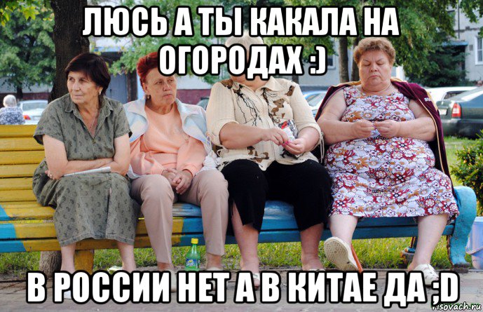 люсь а ты какала на огородах :) в россии нет а в китае да ;d, Мем Бабушки на скамейке
