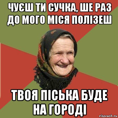 чуєш ти сучка, ше раз до мого міся полізеш твоя піська буде на городі, Мем  Бабушка