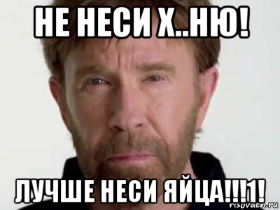 не неси х..ню! лучше неси яйца!!!1!