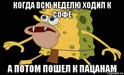 когда всю неделю ходил к софе а потом пошел к пацанам, Мем Дикий спанч боб