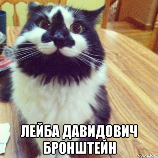  лейба давидович бронштейн, Мем  довольный кот