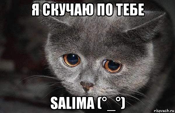 я скучаю по тебе salima (°_°), Мем  Грустный кот