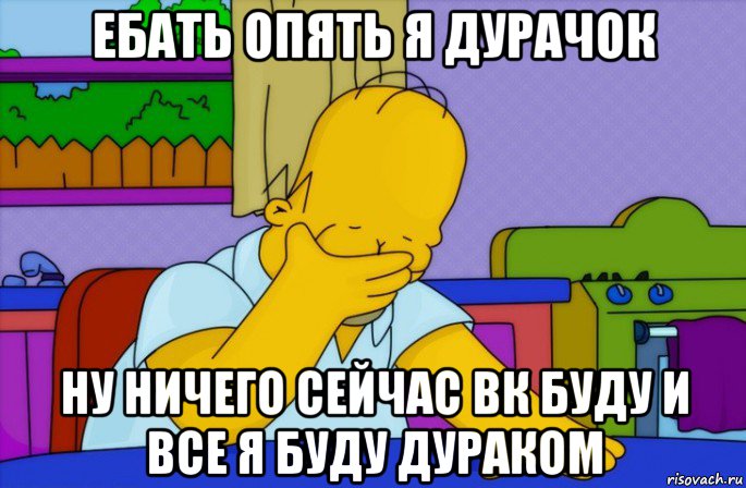 ебать опять я дурачок ну ничего сейчас вк буду и все я буду дураком, Мем Homer simpson facepalm