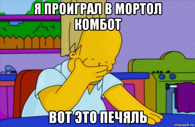 я проиграл в мортол комбот вот это печяль