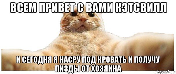 всем привет с вами кэтсвилл и сегодня я насру под кровать и получу пизды от хозяина, Мем   Кэтсвилл