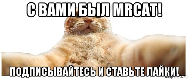 с вами был mrcat! подписывайтесь и ставьте лайки!, Мем   Кэтсвилл