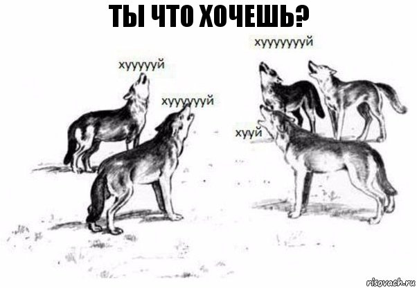 ты что хочешь?, Комикс Когда хочешь