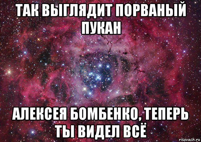 так выглядит порваный пукан алексея бомбенко, теперь ты видел всё, Мем Ты просто космос