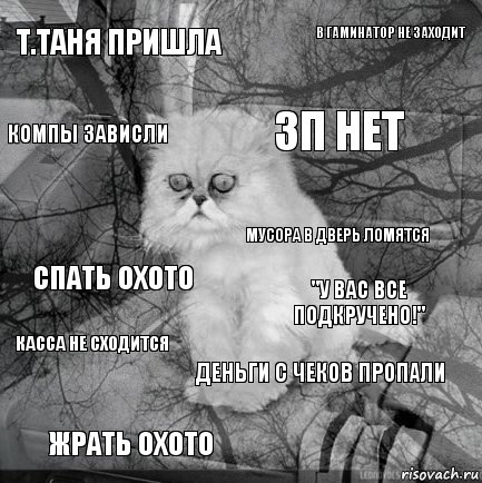 Т.Таня пришла "У вас все подкручено!" Зп нет Жрать охото Спать охото В Гаминатор не заходит Деньги с чеков пропали Компы зависли Касса не сходится Мусора в дверь ломятся, Комикс  кот безысходность