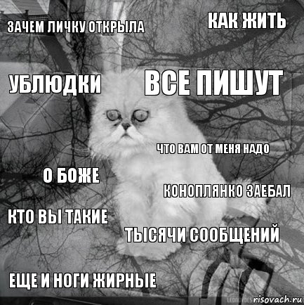 Зачем личку открыла Коноплянко заебал Все пишут Еще и ноги жирные О боже Как жить Тысячи сообщений Ублюдки Кто вы такие Что вам от меня надо, Комикс  кот безысходность