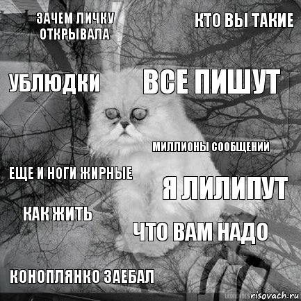 Зачем личку открывала Я лилипут Все пишут Коноплянко заебал Еще и ноги жирные Кто вы такие Что вам надо Ублюдки Как жить Миллионы сообщений, Комикс  кот безысходность