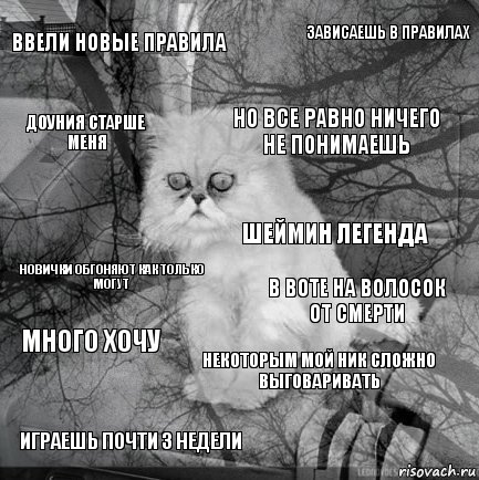 ввели новые правила в воте на волосок от смерти но все равно ничего не понимаешь играешь почти 3 недели новички обгоняют как только могут зависаешь в правилах некоторым мой ник сложно выговаривать Доуния старше меня много хочу шеймин легенда, Комикс  кот безысходность