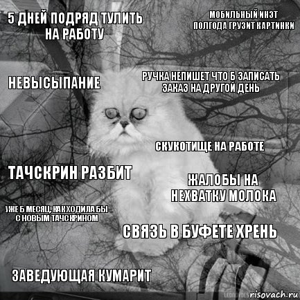 5 дней подряд тулить на работу жалобы на нехватку молока ручка непишет что б записать заказ на другой день заведующая кумарит тачскрин разбит мобильный инэт полгода грузит картинки связь в буфете хрень невысыпание уже б месяц, как ходила бы с новым тачскрином скукотище на работе, Комикс  кот безысходность