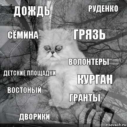 Дождь Курган Грязь ДВОРИКИ ДЕТСКИЕ ПЛОЩАДКИ РУДЕНКО ГРАНТЫ Сёмина Востоный ВОЛОНТЕРЫ, Комикс  кот безысходность