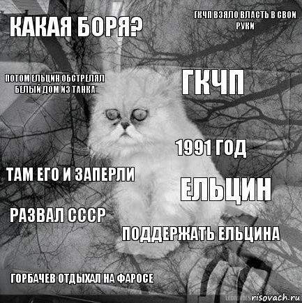 Какая Боря? Ельцин ГКЧП Горбачев отдыхал на Фаросе Там его и заперли ГКЧП взяло власть в свои руки Поддержать Ельцина Потом Ельцин обстрелял Белый дом из танка Развал СССР 1991 год, Комикс  кот безысходность