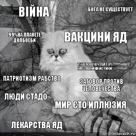 Війна Заговор против человечества Вакцини яд Лекарства яд Патриотизм рабство Бога не существует Мир єто иллюзия 99%на планете долбоеби Люди стадо 1%человечечтва гуру наставники истини, Комикс  кот безысходность