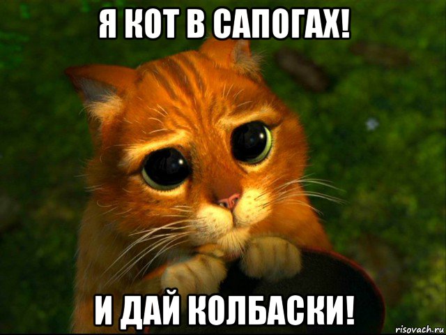 я кот в сапогах! и дай колбаски!, Мем кот из шрека