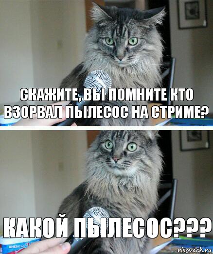 Скажите, вы помните кто взорвал пылесос на стриме? КАКОЙ ПЫЛЕСОС???, Комикс  кот с микрофоном