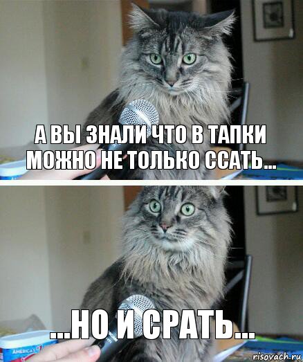 а вы знали что в тапки можно не только ссать... ...но и срать..., Комикс  кот с микрофоном