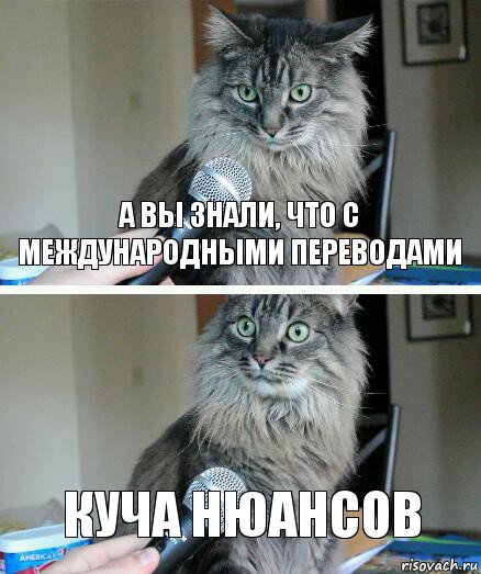 А вы знали, что с международными переводами куча нюансов, Комикс  кот с микрофоном