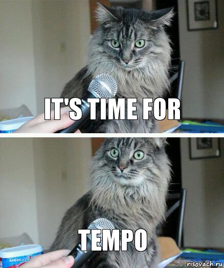 It's time for tempo, Комикс  кот с микрофоном