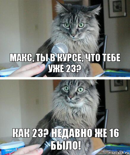 Макс, ты в курсе, что тебе уже 23? Как 23? Недавно же 16 было!, Комикс  кот с микрофоном