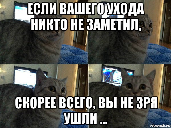 если вашего ухода никто не заметил, скорее всего, вы не зря ушли …, Мем  Кот в шоке