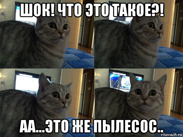 шок! что это такое?! аа...это же пылесос.., Мем  Кот в шоке