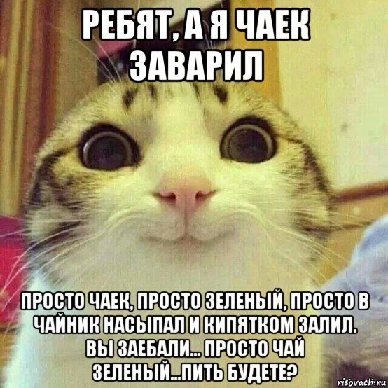 ребят, а я чаек заварил просто чаек, просто зеленый, просто в чайник насыпал и кипятком залил. вы заебали... просто чай зеленый...пить будете?, Мем       Котяка-улыбака