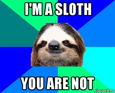 i'm a sloth you are not