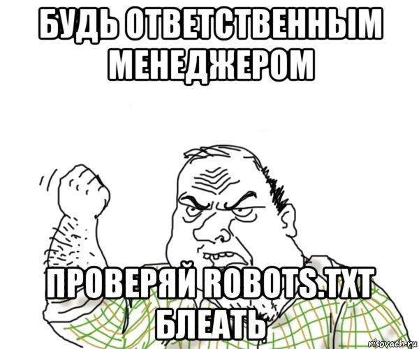 будь ответственным менеджером проверяй robots.txt блеать