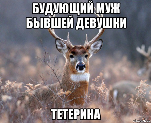 будующий муж бывшей девушки тетерина