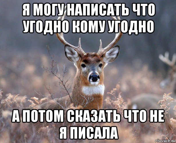 я могу написать что угодно кому угодно а потом сказать что не я писала, Мем   Наивный олень