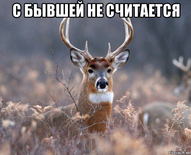 с бывшей не считается 