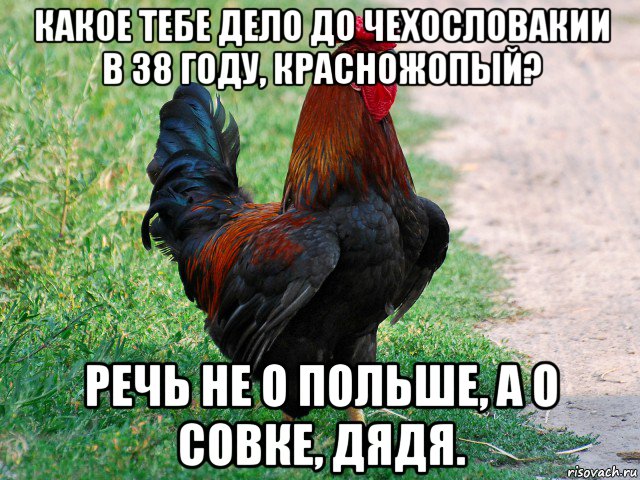 какое тебе дело до чехословакии в 38 году, красножопый? речь не о польше, а о совке, дядя., Мем петух