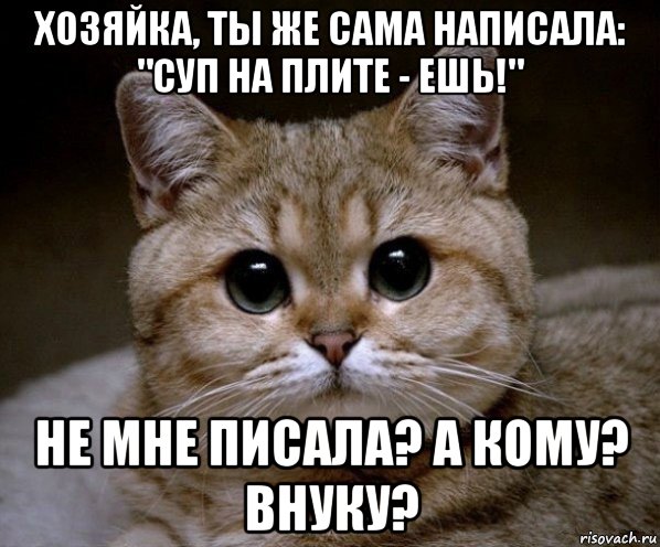 хозяйка, ты же сама написала: "суп на плите - ешь!" не мне писала? а кому? внуку?, Мем Пидрила Ебаная