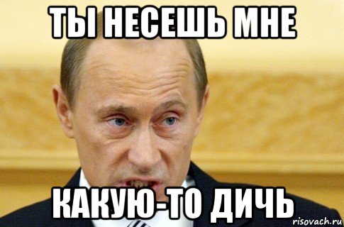 ты несешь мне какую-то дичь, Мем путин