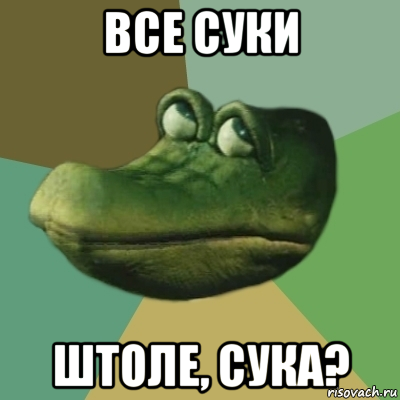 все суки штоле, сука?