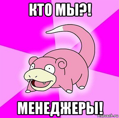 кто мы?! менеджеры!, Мем слоупок