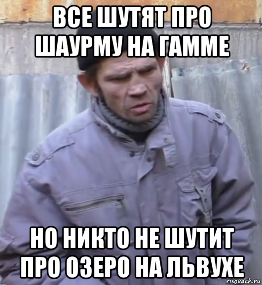 все шутят про шаурму на гамме но никто не шутит про озеро на львухе, Мем  Ты втираешь мне какую то дичь