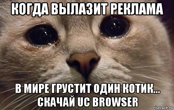 когда вылазит реклама в мире грустит один котик... скачай uc browser, Мем   В мире грустит один котик