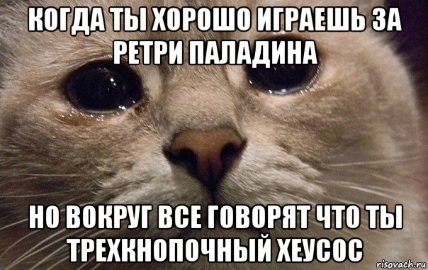 когда ты хорошо играешь за ретри паладина но вокруг все говорят что ты трехкнопочный хеусос, Мем   В мире грустит один котик