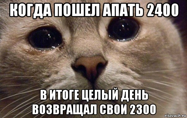 когда пошел апать 2400 в итоге целый день возвращал свои 2300, Мем   В мире грустит один котик