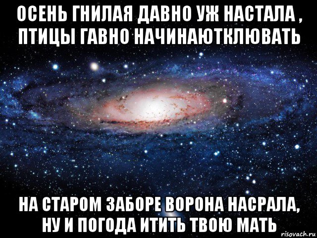 осень гнилая давно уж настала , птицы гавно начинаютклювать на старом заборе ворона насрала, ну и погода итить твою мать, Мем Вселенная