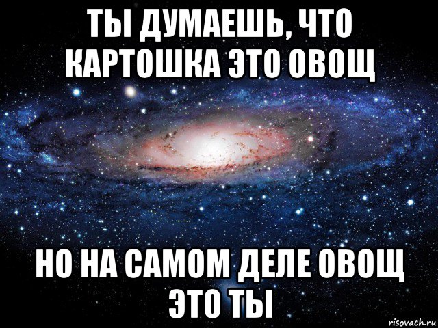 ты думаешь, что картошка это овощ но на самом деле овощ это ты, Мем Вселенная