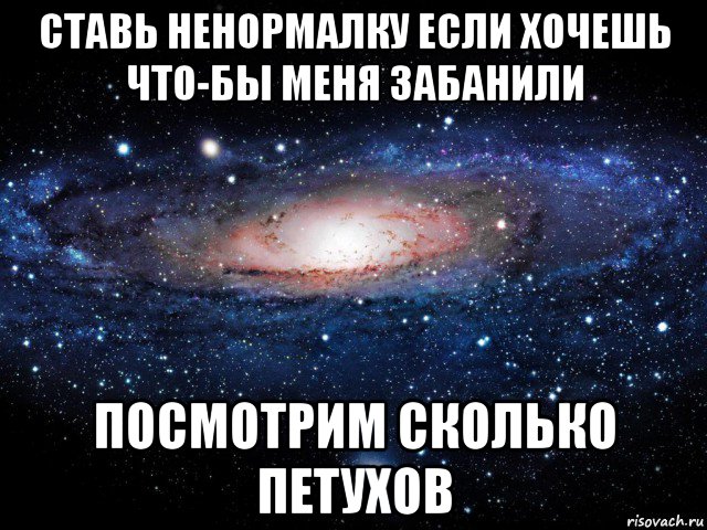 ставь ненормалку если хочешь что-бы меня забанили посмотрим сколько петухов, Мем Вселенная