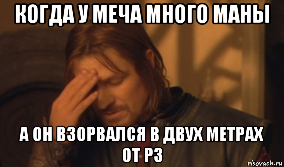 когда у меча много маны а он взорвался в двух метрах от рз, Мем Закрывает лицо