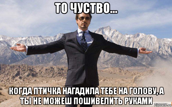 то чуство... когда птичка нагадила тебе на голову, а ты не можеш пошивелить руками, Мем железный человек