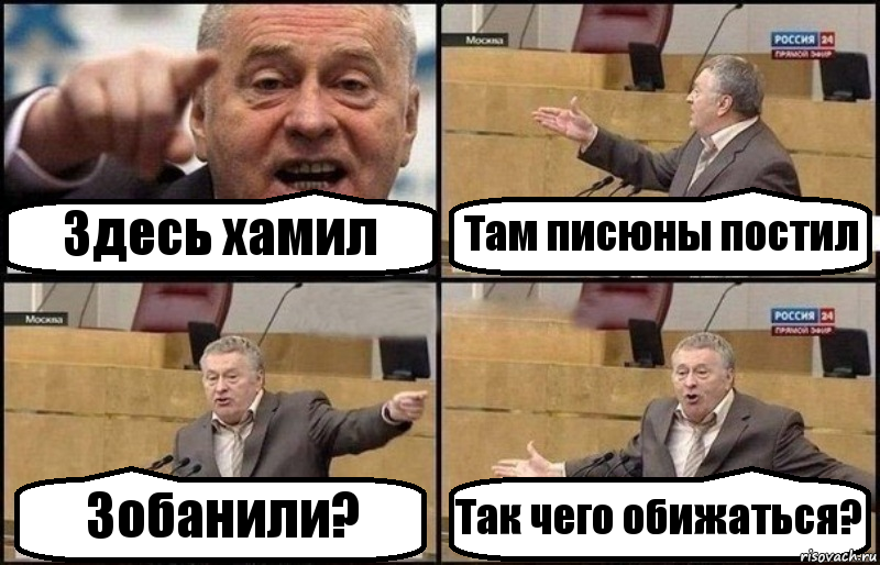 Здесь хамил Там писюны постил Зобанили? Так чего обижаться?, Комикс Жириновский