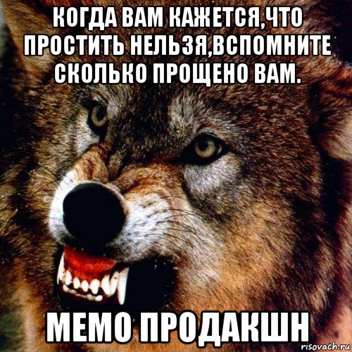 Простить невозможно песня. Когда вам кажется что простить нельзя вспомните сколько прощено вам. Злой волк Мем. Нельзя прощать. Вспомните сколько было прощено вам.